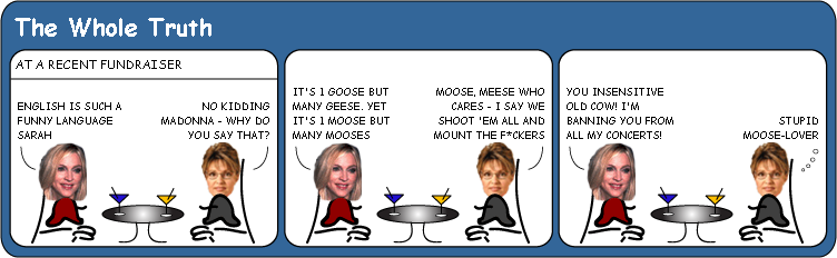 Madonna Bans Sarah Palin From Concerts cartoon